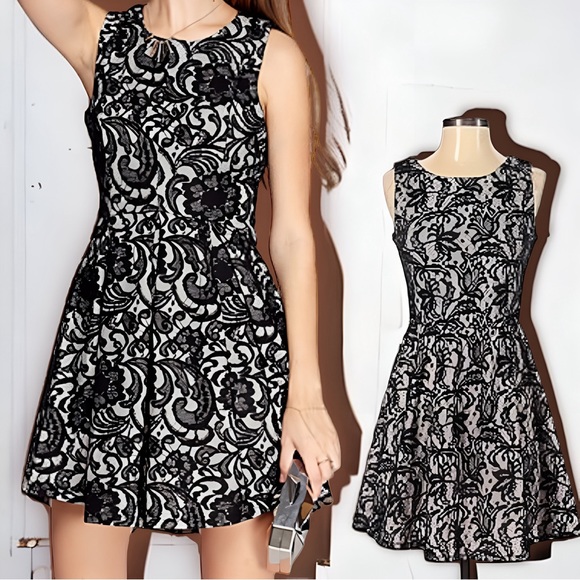 HS Heart Soul Black Lace Over Champagne Fit and Flare Dress (small) - Picture 4 of 13